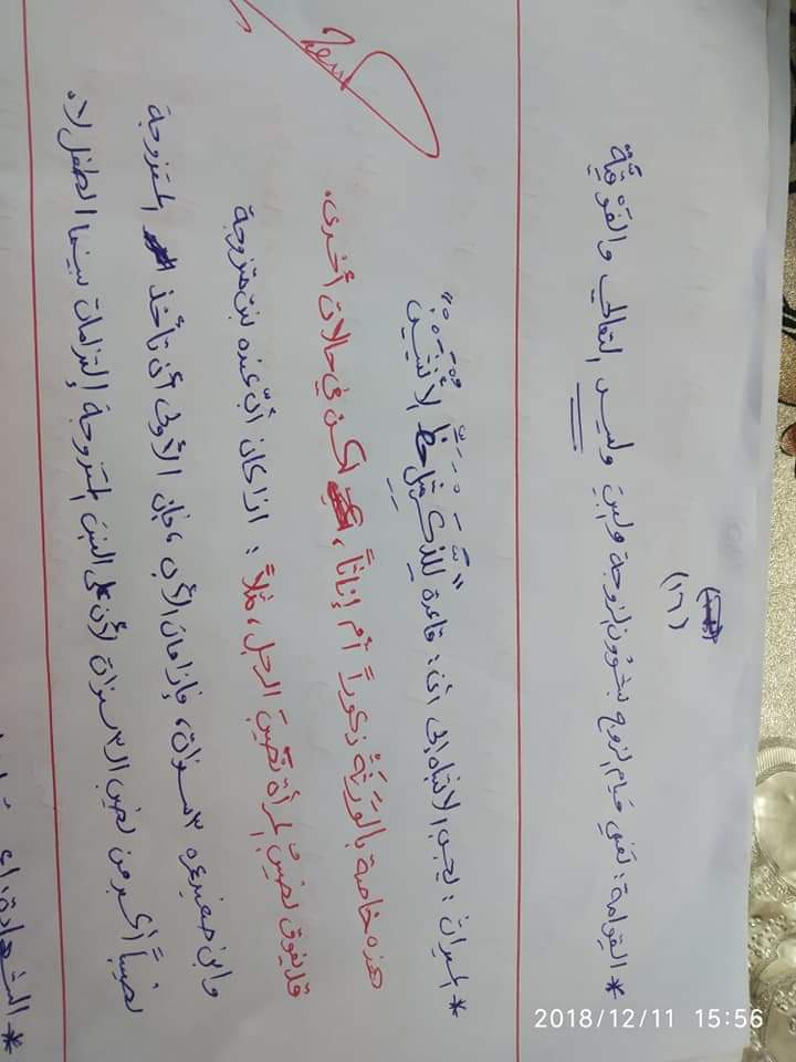 تلخيص شامل - c340ea67-1fb6-46cb-9a9e-a789d4f1342f.jpg